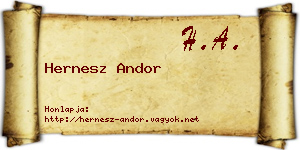 Hernesz Andor névjegykártya